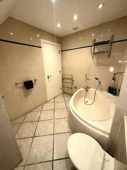 Stunning Duplex Penthouse With Shard Views Apartment London